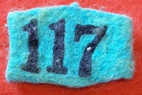 117