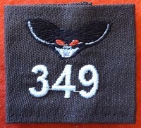 349