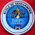 S.E.F.I.