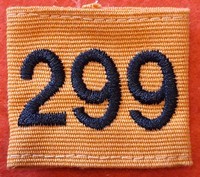 299