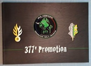 377°